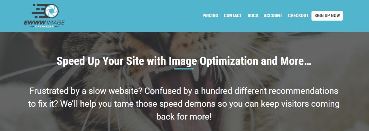 EWWW Image Optimizer if one of top recommended image optimization tools